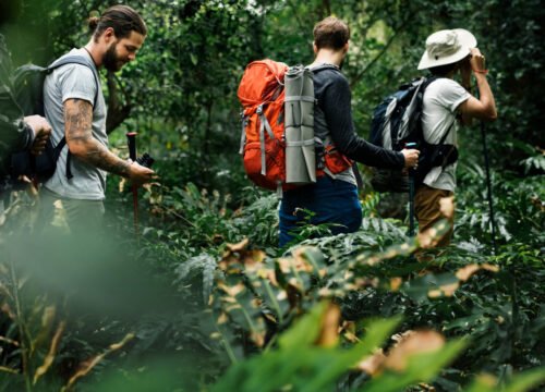 Sustainability Tips For Trekking